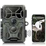 【Aktualisiert】 48MP 4K Wildkamera WLAN Bluetooth, Wildkamera mit Infrarot Nachtsicht Bewegungsmelder Wildtierkamera Handyübertragung 120° Weitwinkel IP66 Wasserdichter für Wildtierbeobachtung