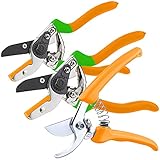 Royal Gardineer Blumengartenscherenset: Gartenscheren-Set mit 1 Bypass- & 2 Amboss-Scheren, 19 cm & 21,5 cm (Gartenhaus)
