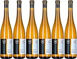 Schlossgut Hohenbeilstein AMPHORE, ungeschwefelt I VDP I 2020 Trocken Bio (6 x 0.75 l)