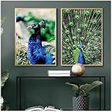 LonftGhhP Wandkunst Leinwand mit Pfauenfeder Vogel Tier Malerei Nordic Poster und Drucke Bilder für Wohnkultur- 40x50cmx2 Ung