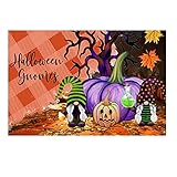 Snakell Fußmatte Willkommen rutschfest Waschbar Schmutzfangmatte Fussmatte Innenbereich und Außenbereich Pflegeleichte Türmatte Teppich für Halloween Deco - 40 x 60 cm (D, One Size)