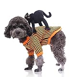 Halloween Hundemantel Hundekostüm Weihnachten Haustiere Verkleidung Cosplay Hund Bekleidung für Halloween Weihnachtsfeier kleine Hunde und Katzen XL