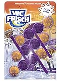 WC FRISCH Kraft Aktiv Winter Edition WC-Reiniger und Duftspüler 150gr (Pistenfuchs 1x 3 Stück)