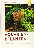 Aquarienpflanzen: 500 Arten im Porträt (DATZ-Aquarienbücher)