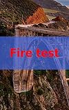 Fire test (Danish Edition)