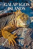 Galapagos Islands: 6x9 inch lined Galapagos Islands notebook, 100 pages, includes facts about the Galapagos Islands, a perfect Galapagos Islands gift ... your own Galapagos Islands travel g