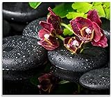 Wallario Herdabdeckplatte/Spritzschutz aus Glas, 1-teilig, 60x52cm mit 13mm hohen Füßen, für Ceran- und Induktionsherde, Dunkelrote Orchideen-Blüte auf schwarzen Steinen mit Regentrop