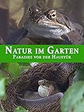 Natur im Garten - Paradies vor der Haustü