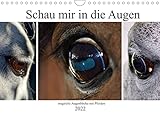 Schau mir in die Augen - magische Augenblicke mit Pferden (Wandkalender 2022 DIN A4 quer)