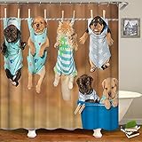 zachking wasserdichte Duschvorhang Für Badezimmer Lustige Tiere Drucken Schöne Katze Hund Bad Vorhang Mit Haken Badewanne Gardinen Badewanne 60×72Inch(152×183cm) OneC