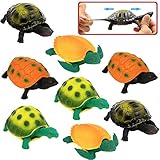 Spielzeuge in Form von Schildkröte, Schildkröte-Set aus Gummi 5 inch (8 Packungen), sicheres Material TPR, super dehnbar, kann in den Panzer stecken, Welt der Meerestiere, Badespielzeuge, Partyzubehö