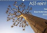 Astrein! - Der Baumkalender 2022 (Wandkalender 2022 DIN A3 quer)