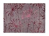Schöner Wohnen Kollektion Rutschhemmende Sauberlaufmatten Manhattan – waschbarer Teppichläufer – strapazierfähige Schmutzfangmatten – (Pusteblume grau-Rose, 50 x 70 cm)
