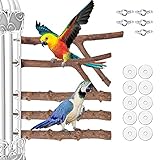 5 Stück Vogel Spielzeug Natur Sitzstangen Set Vogelkäfig Zubehör enthalten 2PCS Y-Form Naturholzstangen Naturholzstangen und 3PCS Stangen aus Pfefferholz für Wellensittich Nymp
