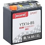 Accurat Motorradbatterie Sport YTX16-BS 14 Ah 230 A 12V Gel Starterbatterie [LCD Display] Erstausrüsterqualität rüttelfest leistungsstark wartung