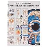 Naturheilkunde des Menschen Mini-Poster Booklet Anatomie 34x24 cm, 12