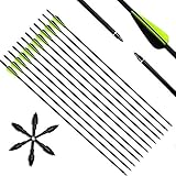 Narchery Pfeile Carbon, 31 Zoll Bogenpfeile für Bogenschießen mit Kunststoffbefiederung, Jagdpfeile für Bogen, Traditionellen Bogen, Recurvebogen und Langbogen, 12er S