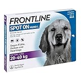 Frontline Spot on Hund L 20-40 kg Pipetten, 3 St. Amp