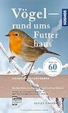 Vögel rund ums Futterhaus: Beobachten, bestimmen und richtig Fü