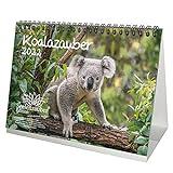Koalazauber DIN A5 Tischkalender für 2022 Koalabären, Koala - Geschenkset Inhalt: 1x Kalender, 1x Weihnachtskarte (insgesamt 2 Teile)