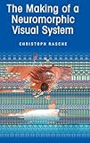 The Making of a Neuromorphic Visual Sy
