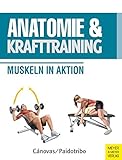 Anatomie und Krafttraining (Anatomie & Sport, Band 1): Muskeln in Ak