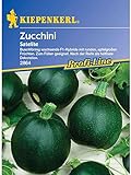 Zucchini Satelite rund grü