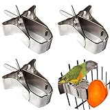 Papagei Obst Feeder, 3 Stück Edelstahl Papagei Obst Gemüse Vogel Obst Halter Langlebig Vögel Futterhalter Papagei Vogelfutter Gemüse Halter Käfig Futtersuche Fruchtclip Silb