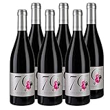 Cuvée 70 - Beaujolais - Eric Pignard - (6x0,75L) - Rotw