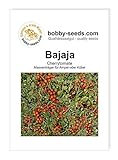 Bajaja Tomatensamen von Bobby-S