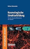 Kosmologische Strukturbildung: Von der Quantenfluktuation zur Galaxie (Astrophysik aktuell)