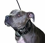 Original Illusion Collar Trainingshalsband & Leine des amerikanischen Hundeflüsterer Cesar Millan, Größe S, Schw