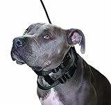 Original Illusion Collar Trainingshalsband & Leine des amerikanischen Hundeflüsterer Cesar Millan, Größe S, Schw