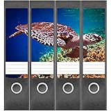 Etiketten für Ordner | Wasserschildkröte Tier | 4 breite Aufkleber für Ordnerrücken | Selbstklebende Design Ordneretiketten Rück