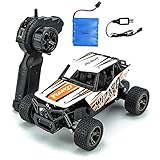 WZRYBHSD RC Cars Spielzeug,15 Km/H Ferngesteuertes Auto, Stunt Car 1/18 Skala 2,4 G 4WD Elektro RC Monster Fahrzeug Auto Crawler, Off Road RC Trucks Spielzeugauto Geschenk Für Kinder Erwachsene M