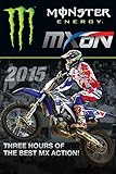 Motocross of Nations 2015