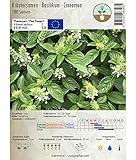 Kräutersamen - Basilikum/Cinnamon - Ocimum basilicum - 100 S