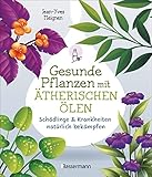 Gesunde Pflanzen mit ätherischen Ölen – Schädlinge & Krankheiten natürlich bekämpfen: Biologischer Pflanzenschutz ohne Gift oder C