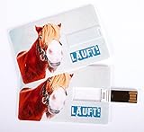 Witziger USB Stick im Visitenkartenformat, Scheckkarte, Kreditkarte, 4 GB, witziges Pony, Pferd, LÄUFT! ideal als Datenspeicher oder Geschenk