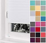 Home-Vision® Premium Plissee Faltrollo ohne Bohren mit Klemmträger / -fix (Weiß, B85cm x H120cm) Blickdicht Sonnenschutz Jalousie für Fenster & Tü