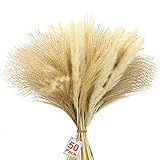 AMENGNI 50 Stück Pampasgras Deko, 45cm Natürlich & Besonders Fluffig Getrocknet Pampasgras Blumenstrauß, Boho Deko für Hochzeit Badezimmer Inneneinrichtungen Wohnzimmer Schlafzimmer Balkon Tischdek