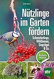 Nützlinge im Garten fördern: Schmetterlinge, Wildbienen, Singvögel & C