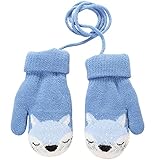 Hilloly Kleine Fuchs Warme Handschuhe, 2 Stück Winterhandschuhe, Süße Kleine Fuchs Winterhandschuhe, Warme Handschuhe Mit Lanyard, Fäustlinge, Für Kinder Geeignet, Blau, M