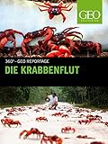 Die Krabb