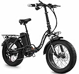 20 Zoll Klapprad Elektrofahrrad E-Bike, 48 V 18Ah Lithiumbatterie, Faltbares E Mountain Bike mit 4' Fettreifen, City E-Bike für Erwachsene, Herren D