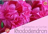 Rhododendron Schönheiten im Garten (Wandkalender 2022 DIN A3 quer) [Calendar] Cross, M