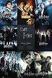 Poster Harry Potter - Staffel Collection - Größe 61 x 91,5 cm - Maxip