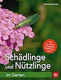 Schädlinge und Nützlinge im Garten: Mit neu eingewanderten Schädling