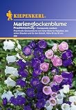 Sperli Blumensamen Glockenblume Marien-Prachtmischung, grü