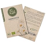 BIO Margeriten Samen, 700 Margeritensamen, hohe Keimrate, 100% Natürlich von Little Plants, Wunderschöne Wiesenmargerite für deinen Balkon und Garten, BIO Blumensamen Nachhaltig Verpack